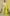 Devanshi - Yellow Soft Silk Saree with Self-Jacquard Weaving and Tassel Border