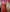 Vimala – Red Soft Silk Saree with Red Jacquard Blouse